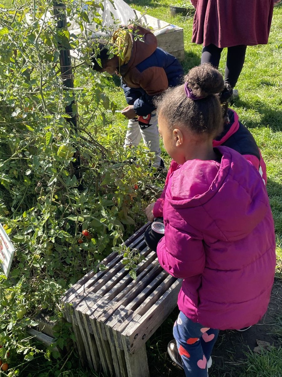 Land to Learn at HorizonsontheHudson Horizons on the Hudson Elementary School NECSD